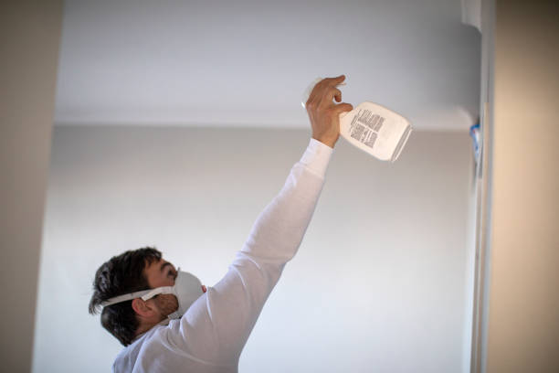 Mold Removal and Inspection in Oakdale, PA