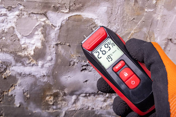 Best Professional Mold Removal  in Oakdale, PA
