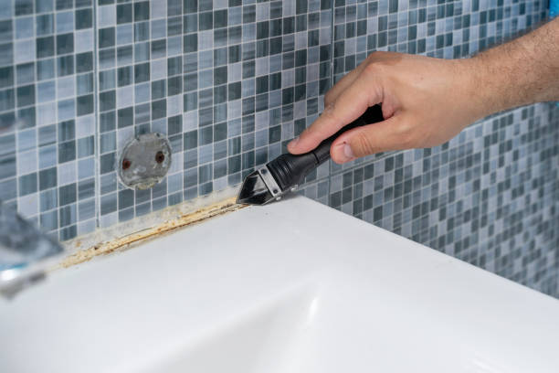 Best Attic Mold Removal  in Oakdale, PA